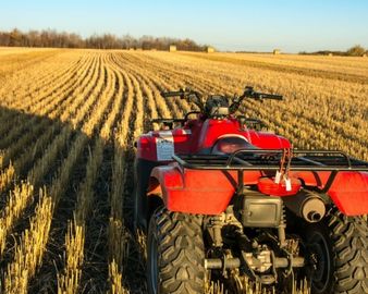 ATV in a field of trimmed crop rows on a farm.