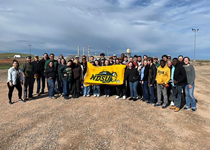 bison to bakken
