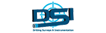 DSI logo