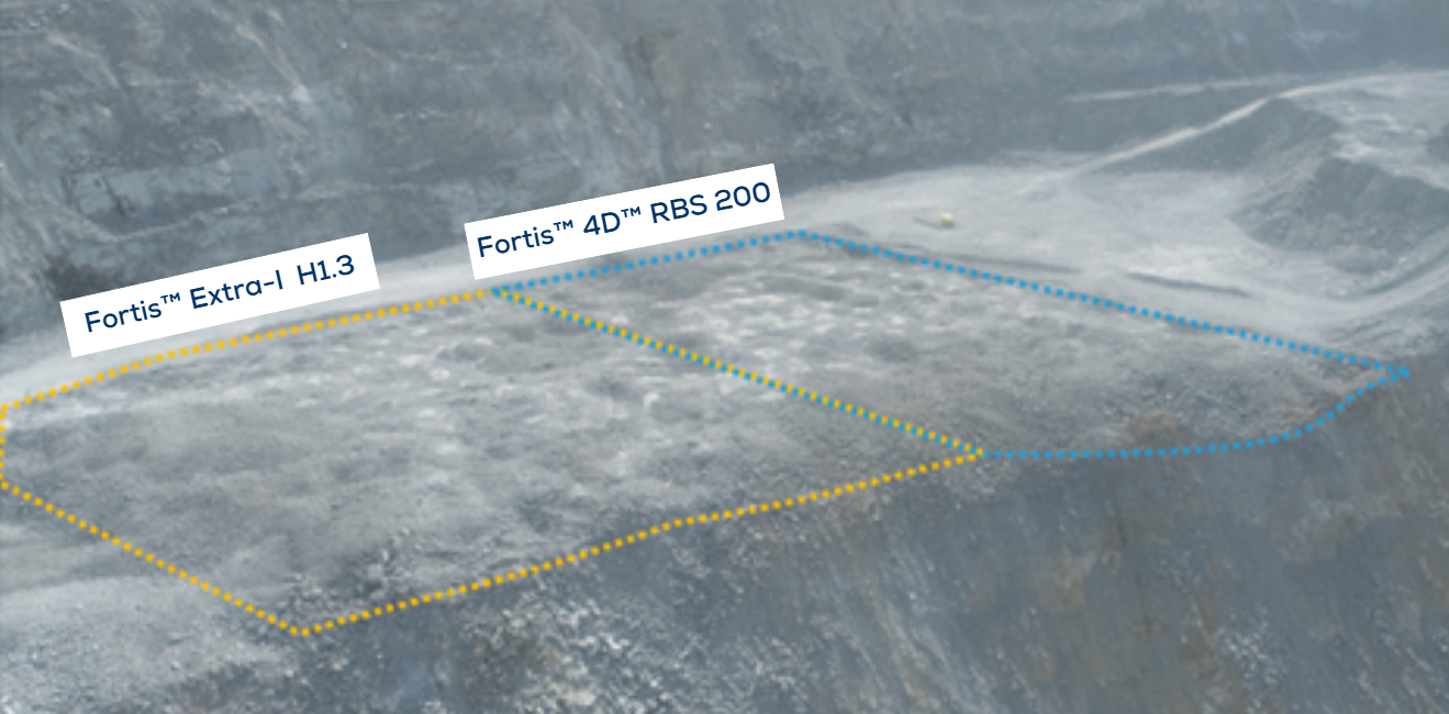 4D and Fortis Extra- i side by side blast area