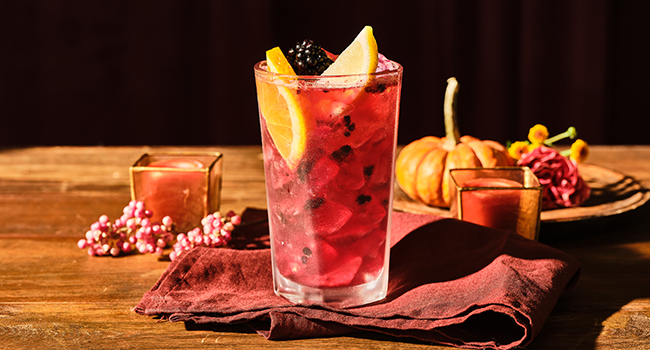 BLACKBERRY SPRITZER (SPIRIT-FREE)