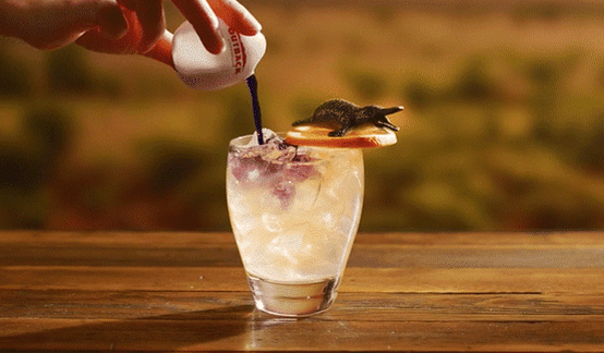 Platypus Punch with Keepsake Platypus Toy