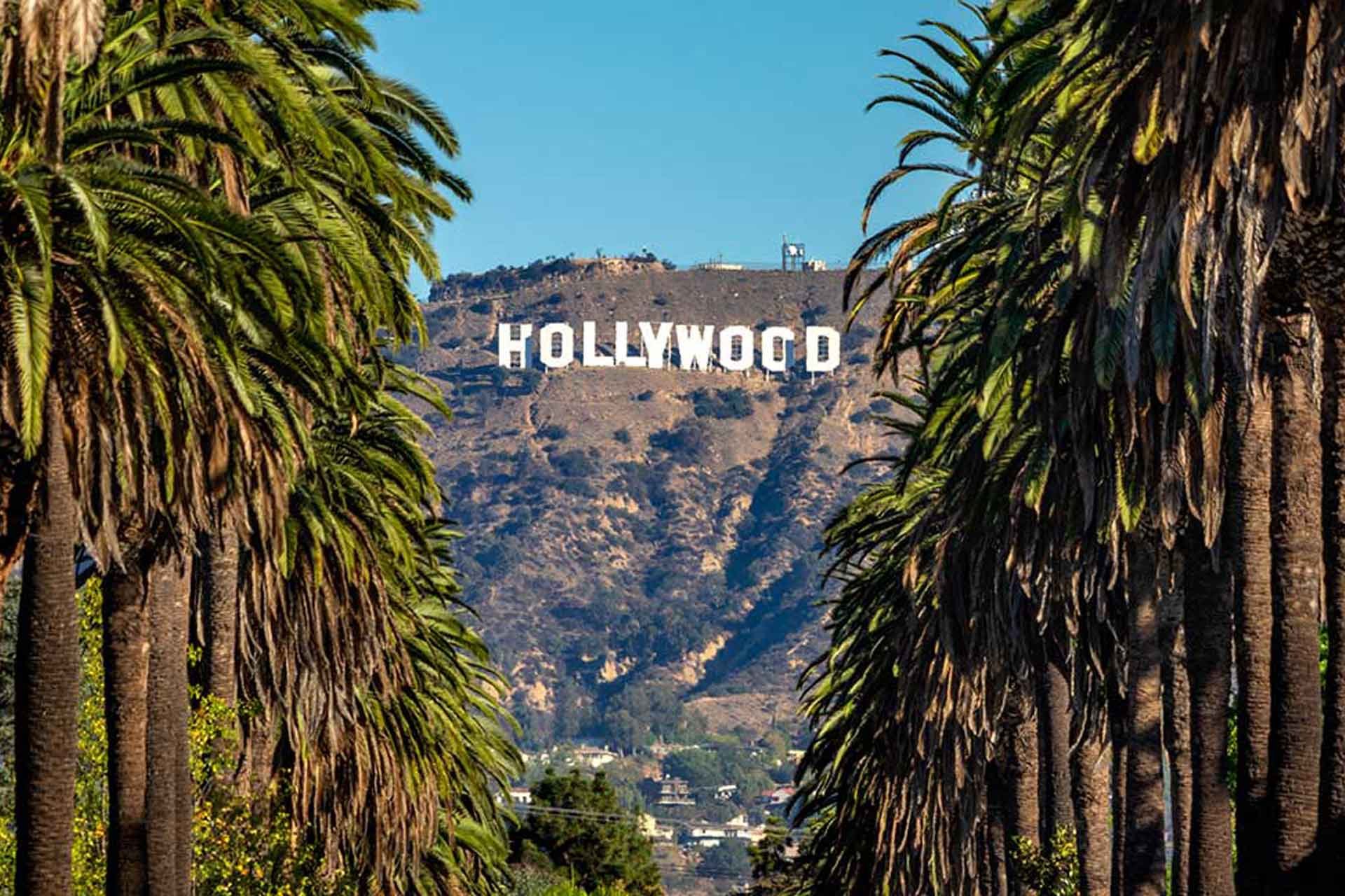 hollywood sign in Windsor Blvd out of home advertising