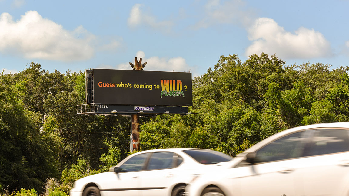 Wild Florida campaign on billboard with extension and support beam wrap