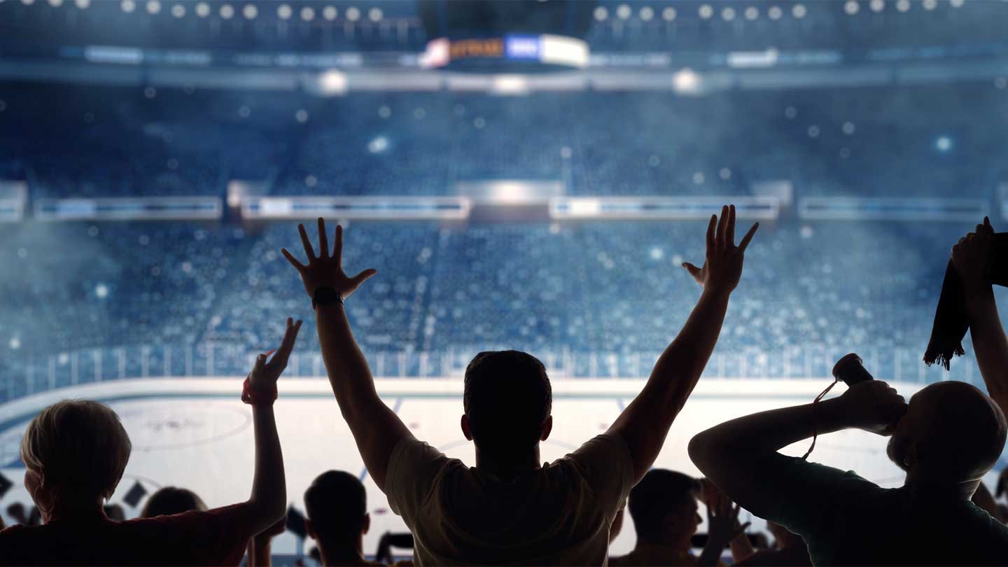 stock image of hockey fans