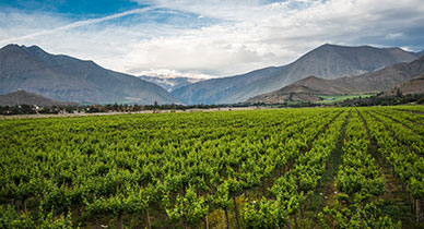 Chile Landscape
