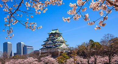 Japan Skyline