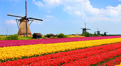 Netherlands Skyline