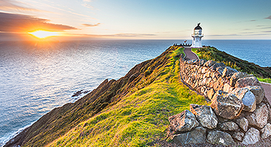 New Zealand Skyline