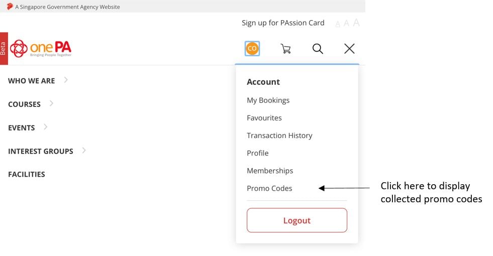 Promo Code FAQs