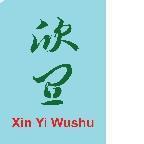 Xin Yi Wushu Academy & Trading