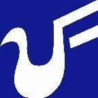 ZhengFei Language School