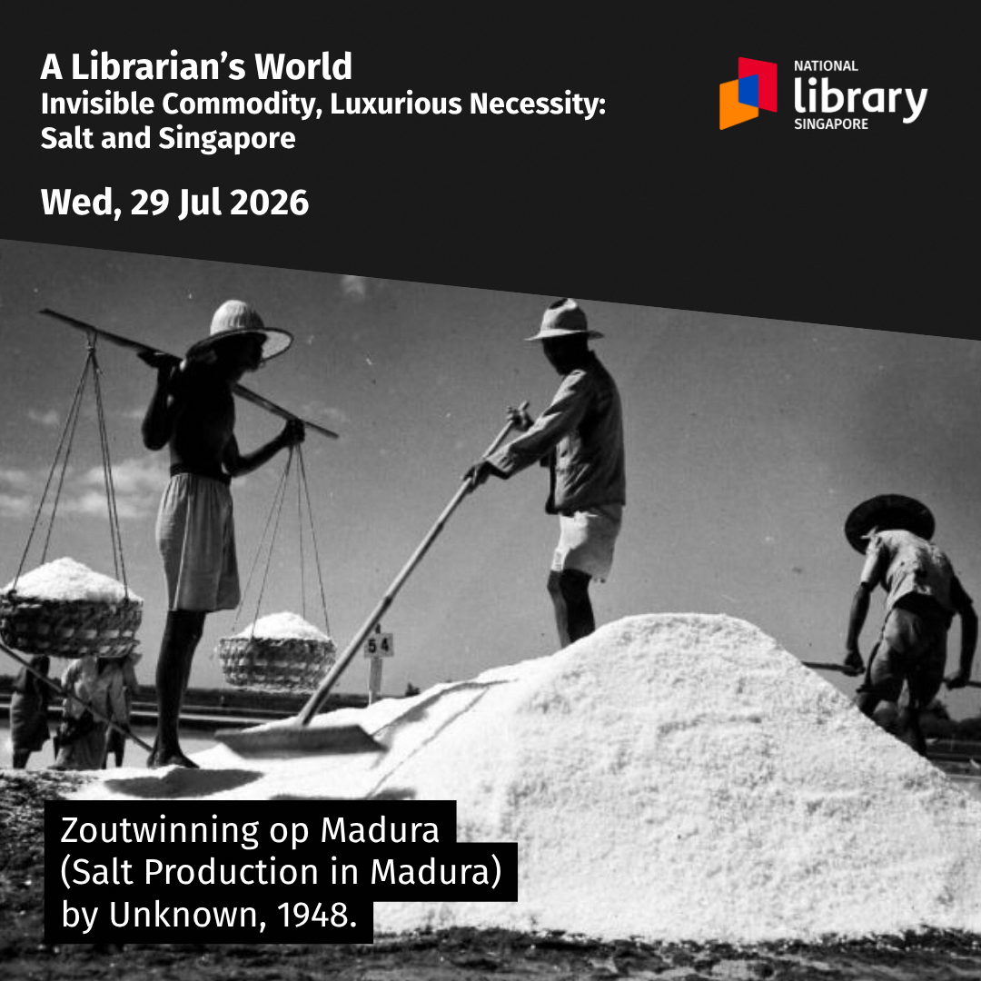 a-librarians-world-salt-and-singapore