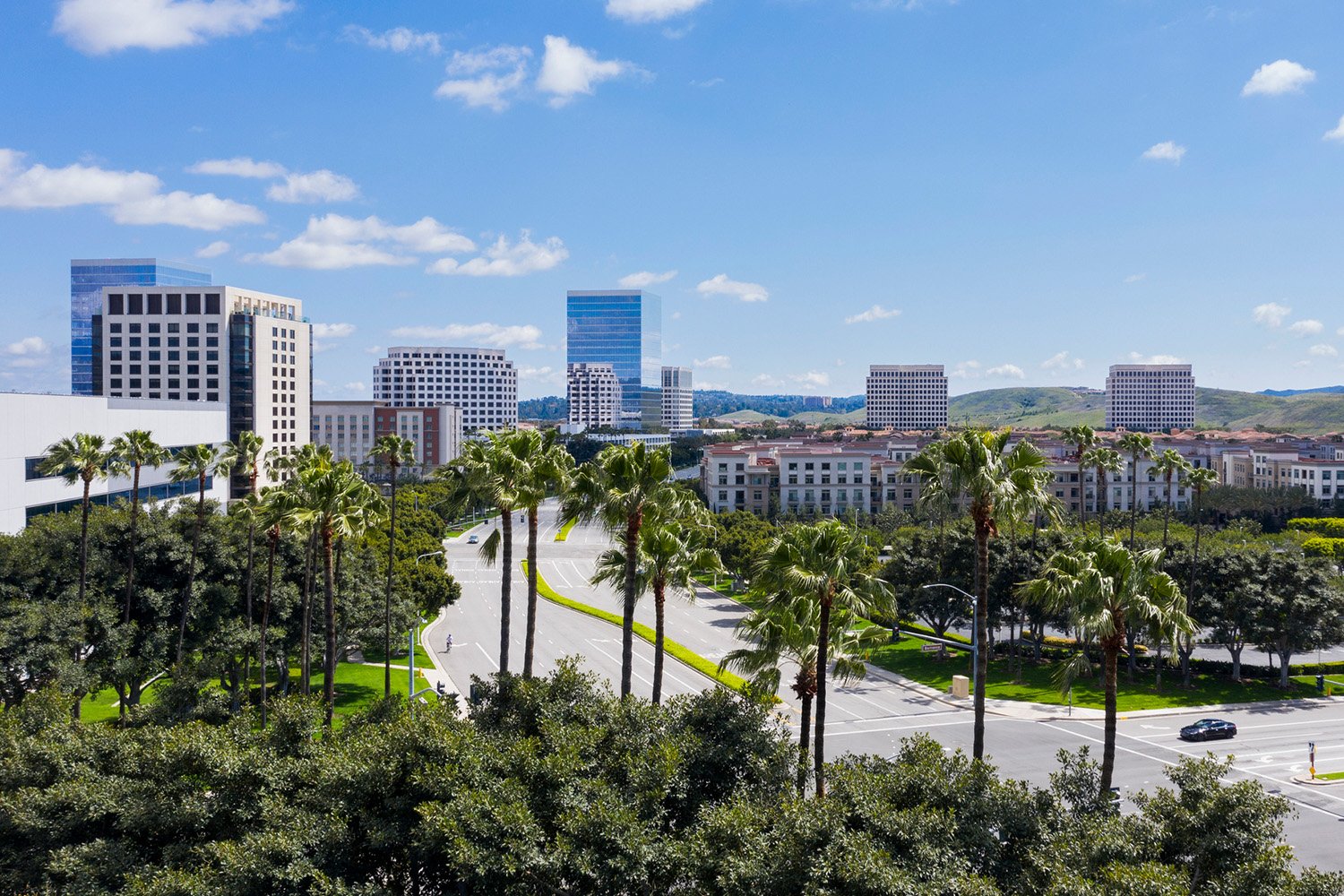 Skyline view featuring towering hotels and swaying palm trees set against a vibrant blue sky, encapsulating the luxurious essence of coastal real estate investment.
