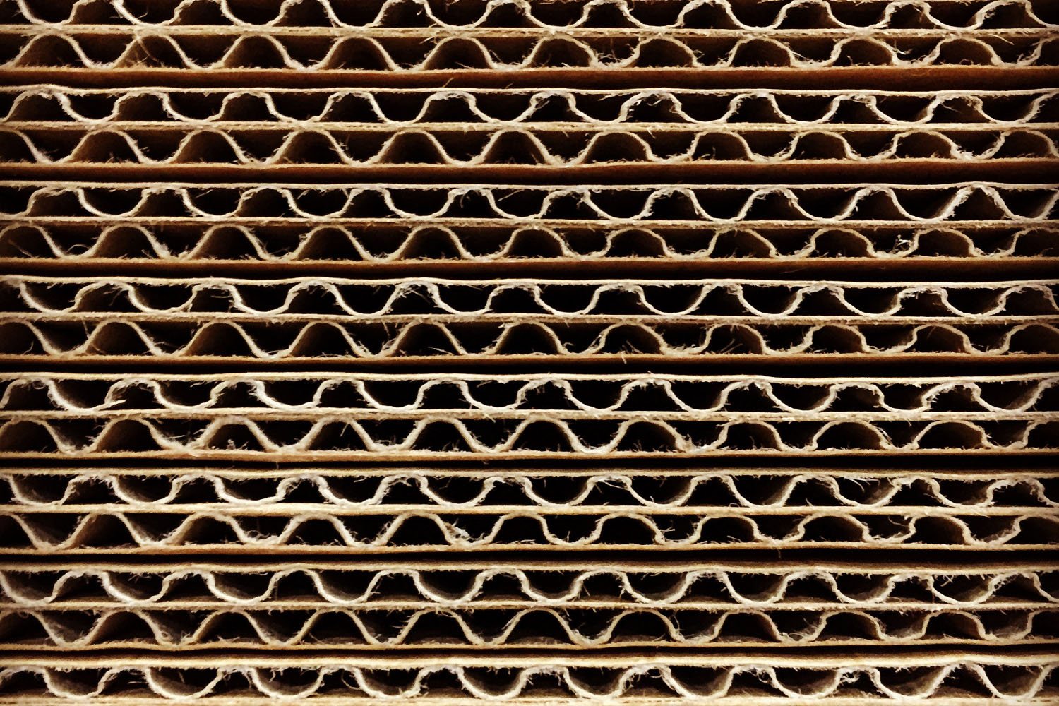 An image showing a side view of cardboard, highlighting its ridged structure.