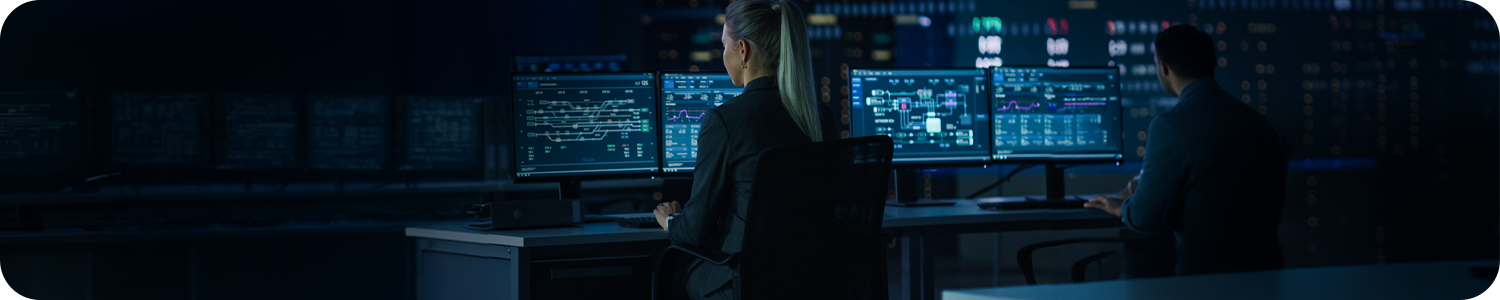Professionals working on computers
