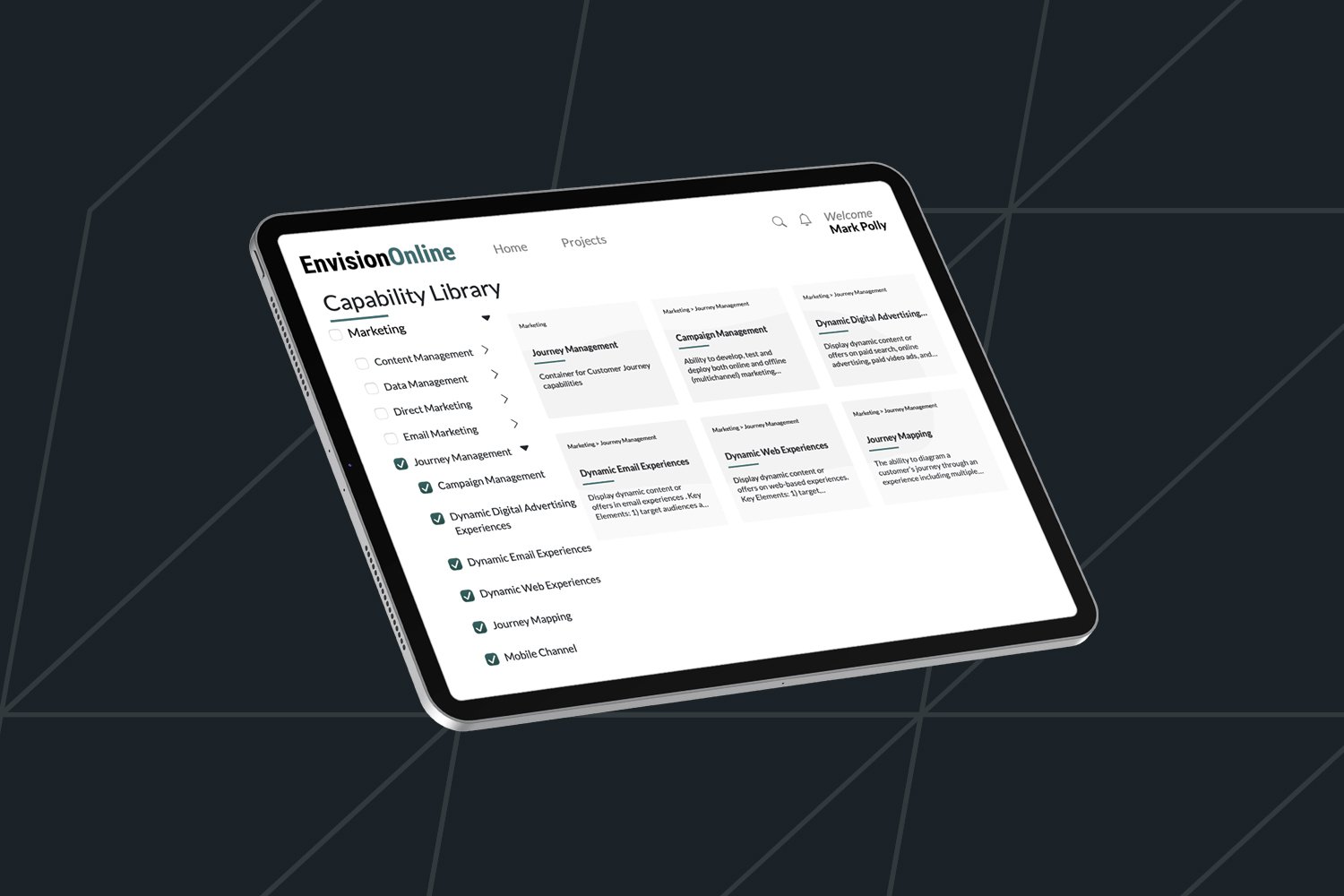 Perficient's EnvisionOnline tool
