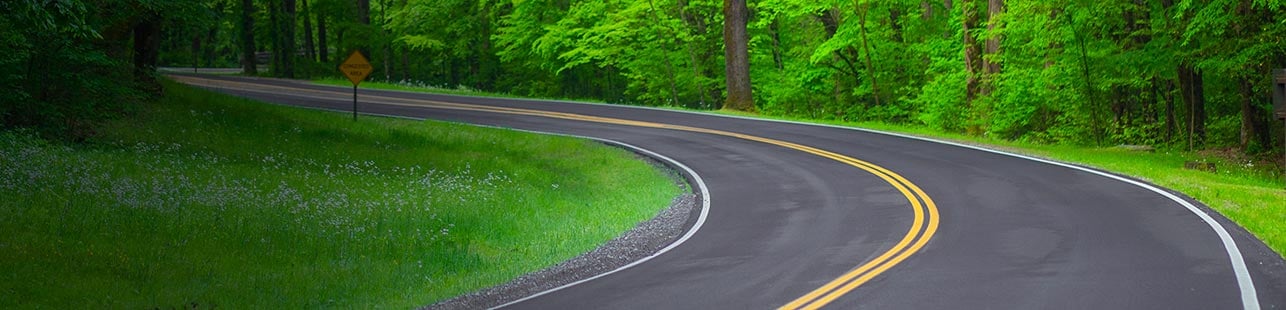 Winding road surrounded by trees
