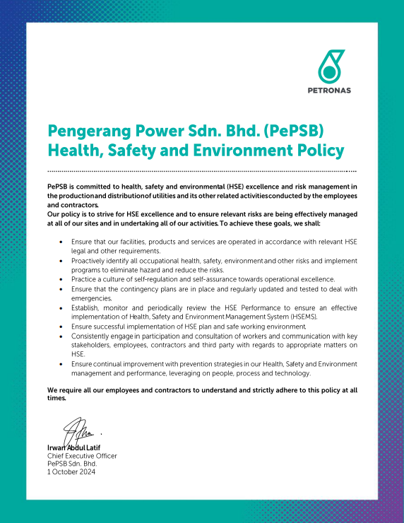 PePSB HSE Policy BI