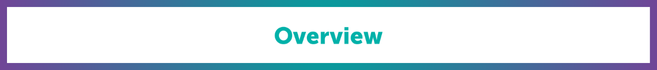 overview2