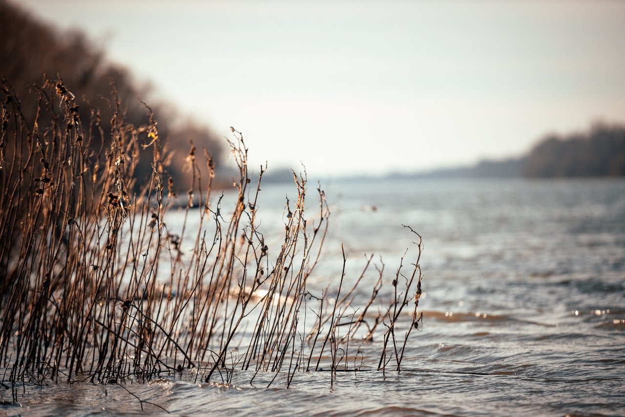 shutterstock_2158730253