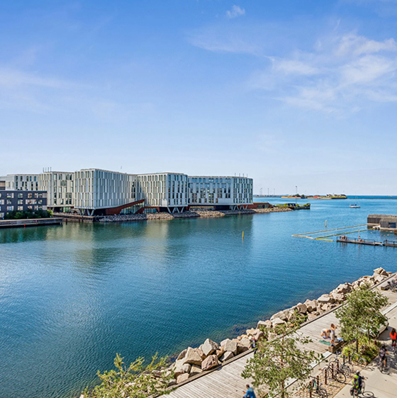 Hero Banner Test Image