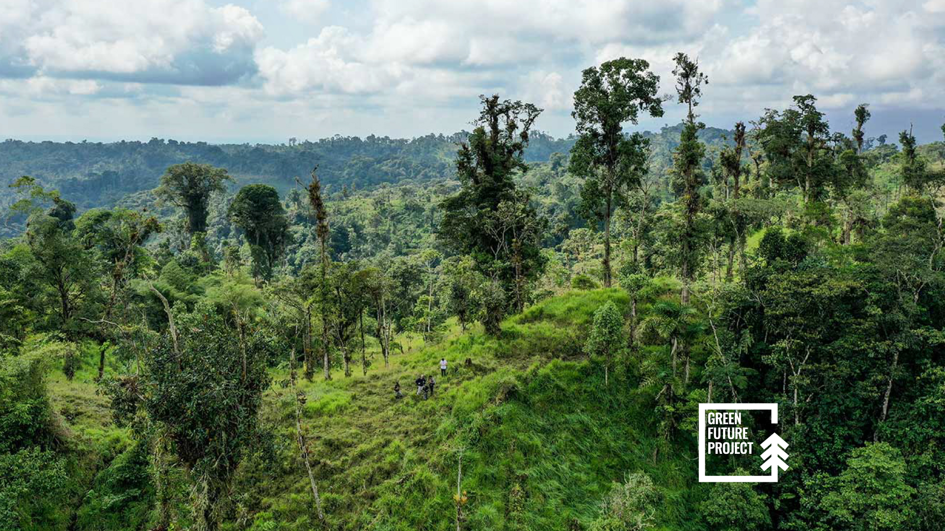 Amazon-Rainforest-Day-GREEN-FUTURE-PROJECT - POLIMI GSoM