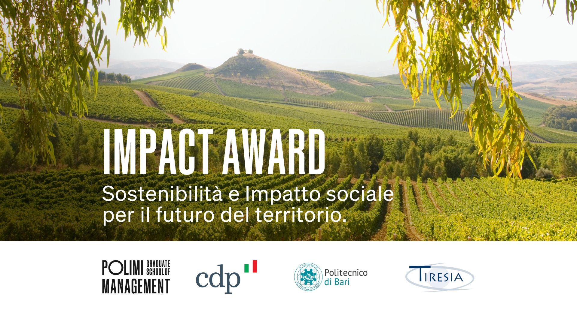 Premiare chi progetta il futuro in chiave social e green: nasce l’Impact Award - POLIMI GSoM