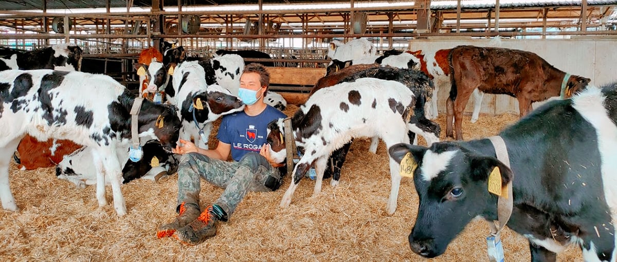 LeRogaie_TheVan_3_1200x510