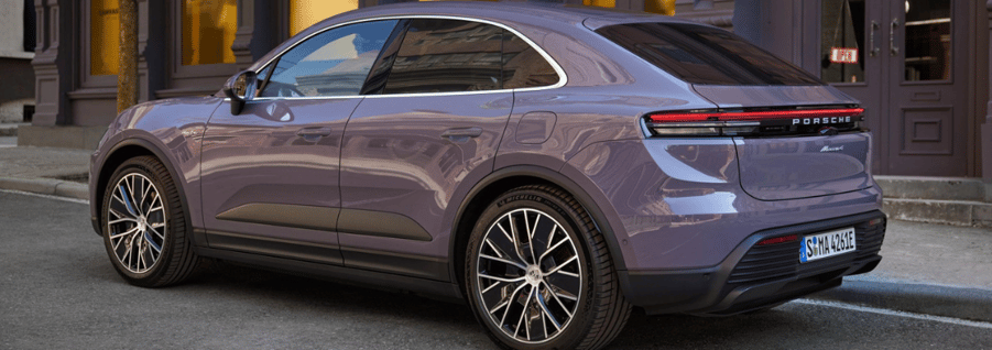Macan Banner 1