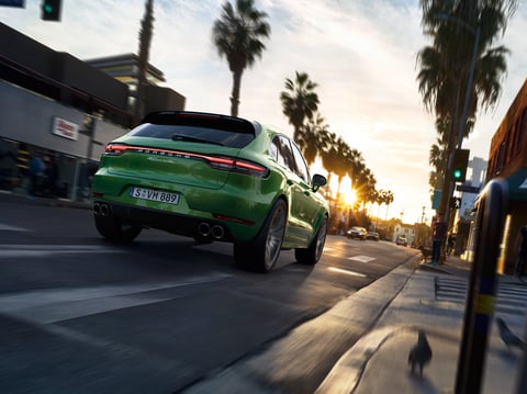 Macan