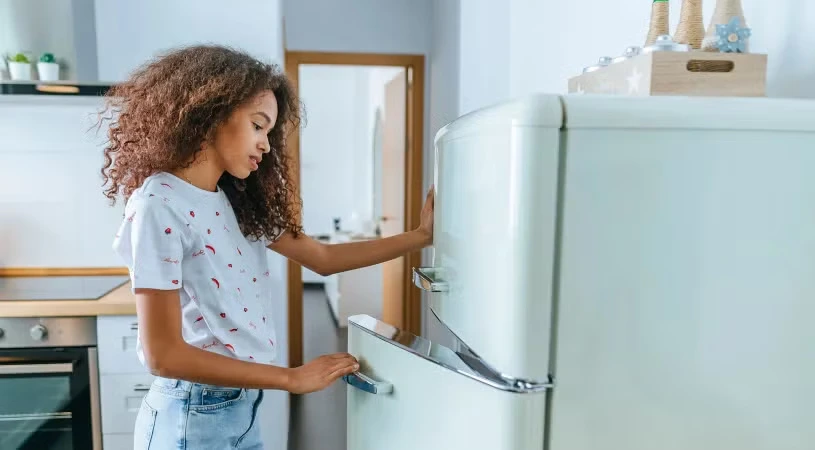 Refrigerator and Freezers