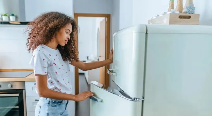Refrigerator and Freezers