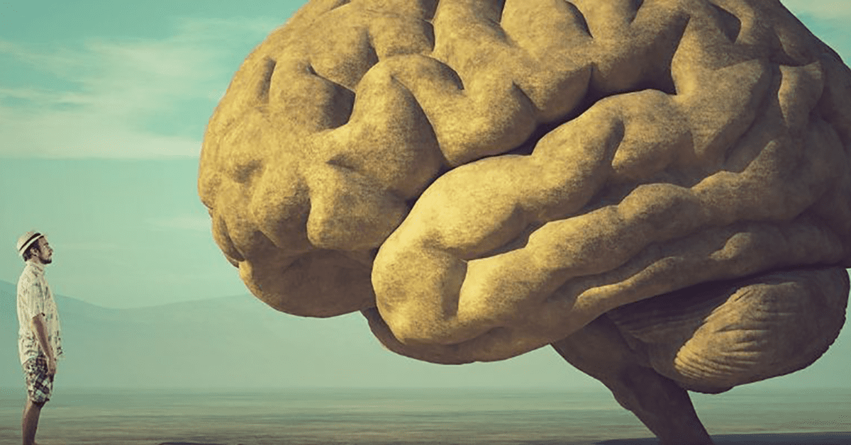 Do you have the brains for brine?