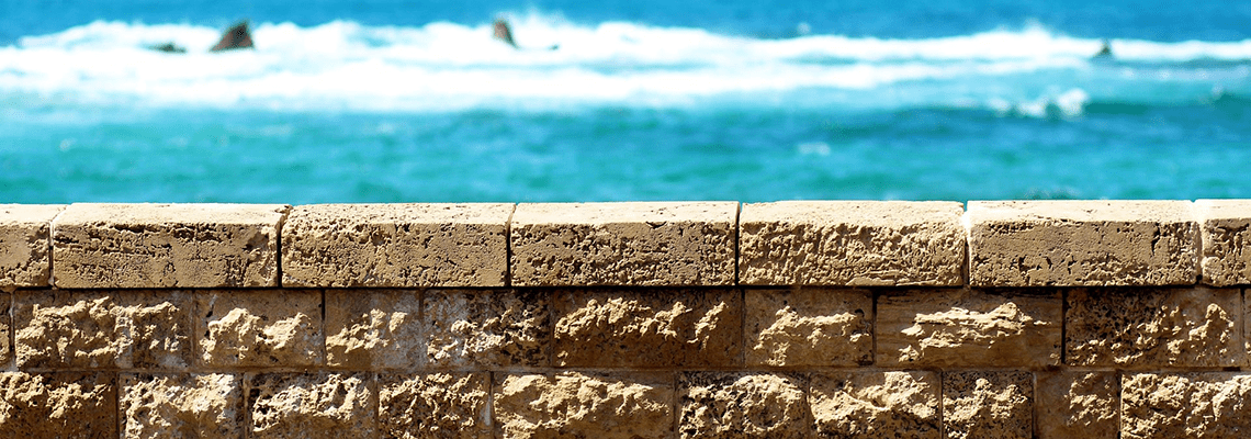 Sorek 2 desalination project moves ahead with seven bidders