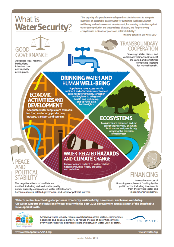 water security essential guide