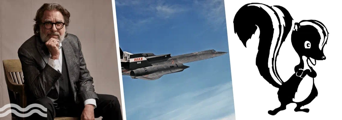 Three split images, from left to right: An illustration depicting a skunk, an image of a NASA fighter jet in the air, a portrait of Will Sarni.