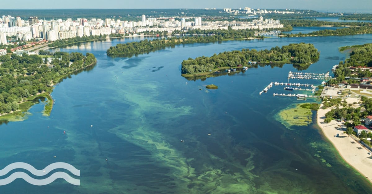 Surface Water: Our essential guide to surface water and the impact of algae