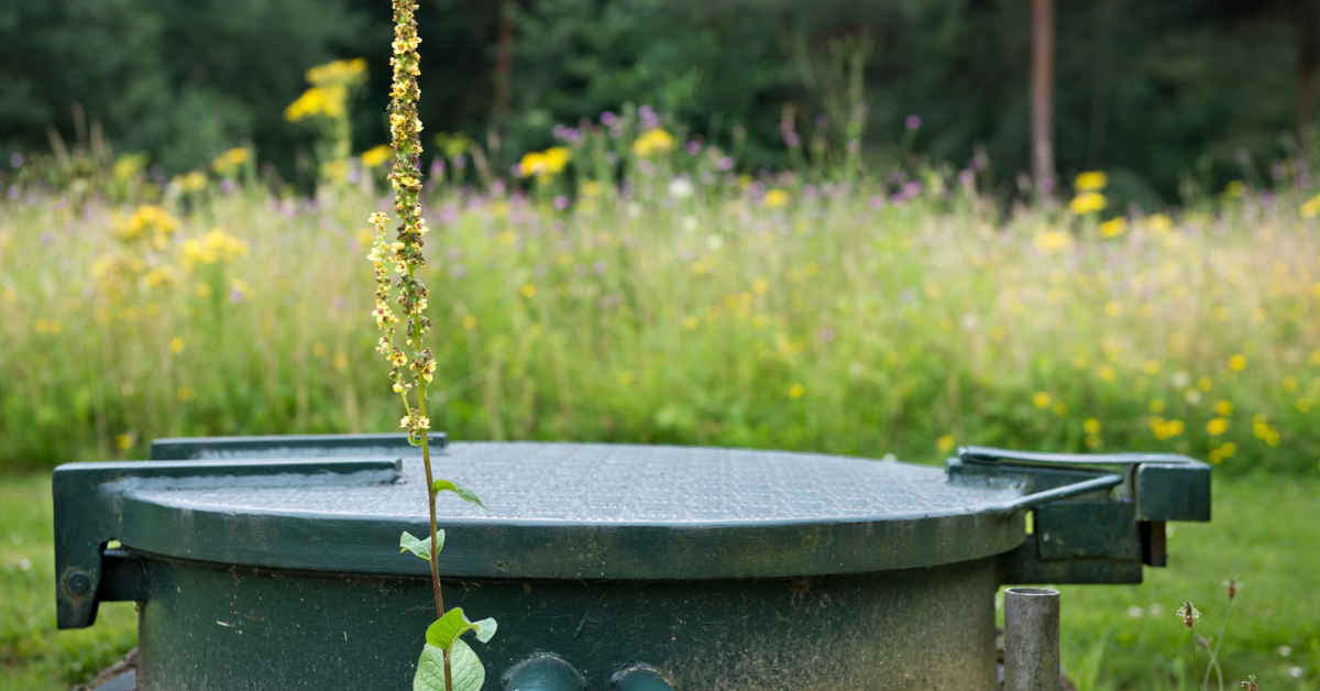 Deeper underground: Vitens turns to fibre optics to measure groundwater
