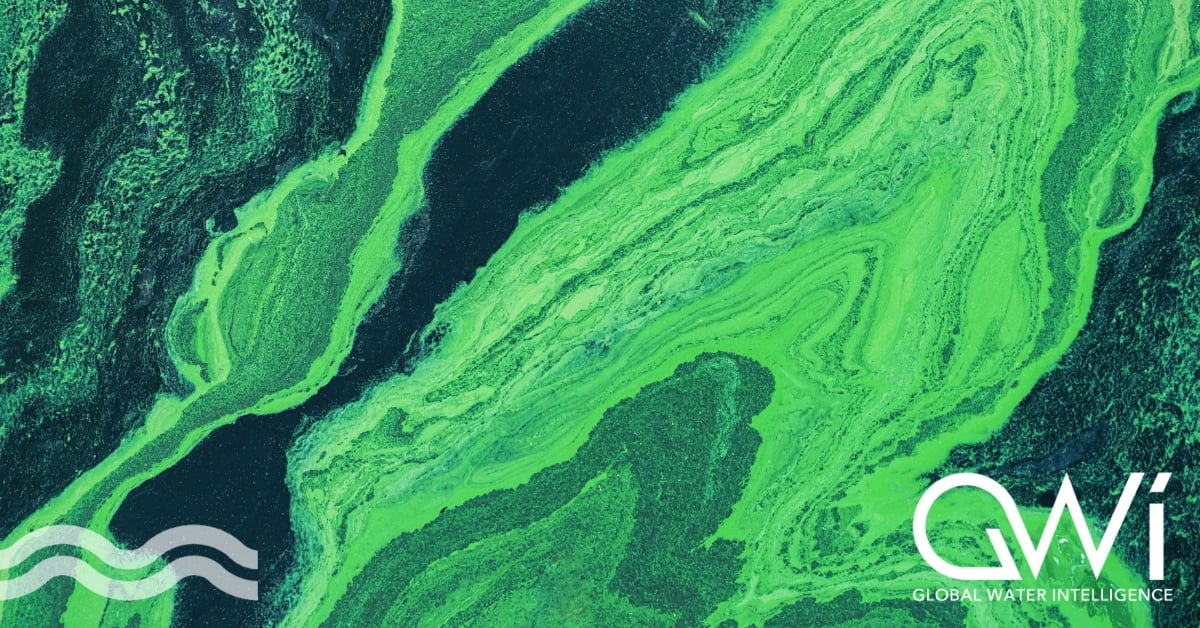 Villain to value: algal wastewater treatment
