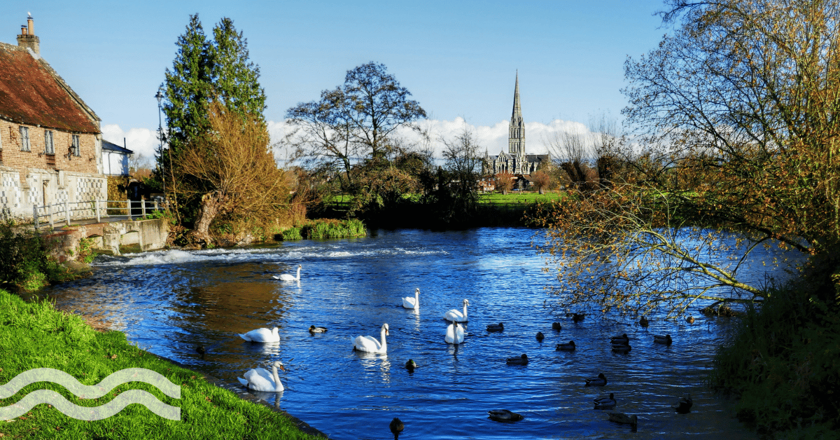 English water companies’ storm overflow plan: analysis & commentary