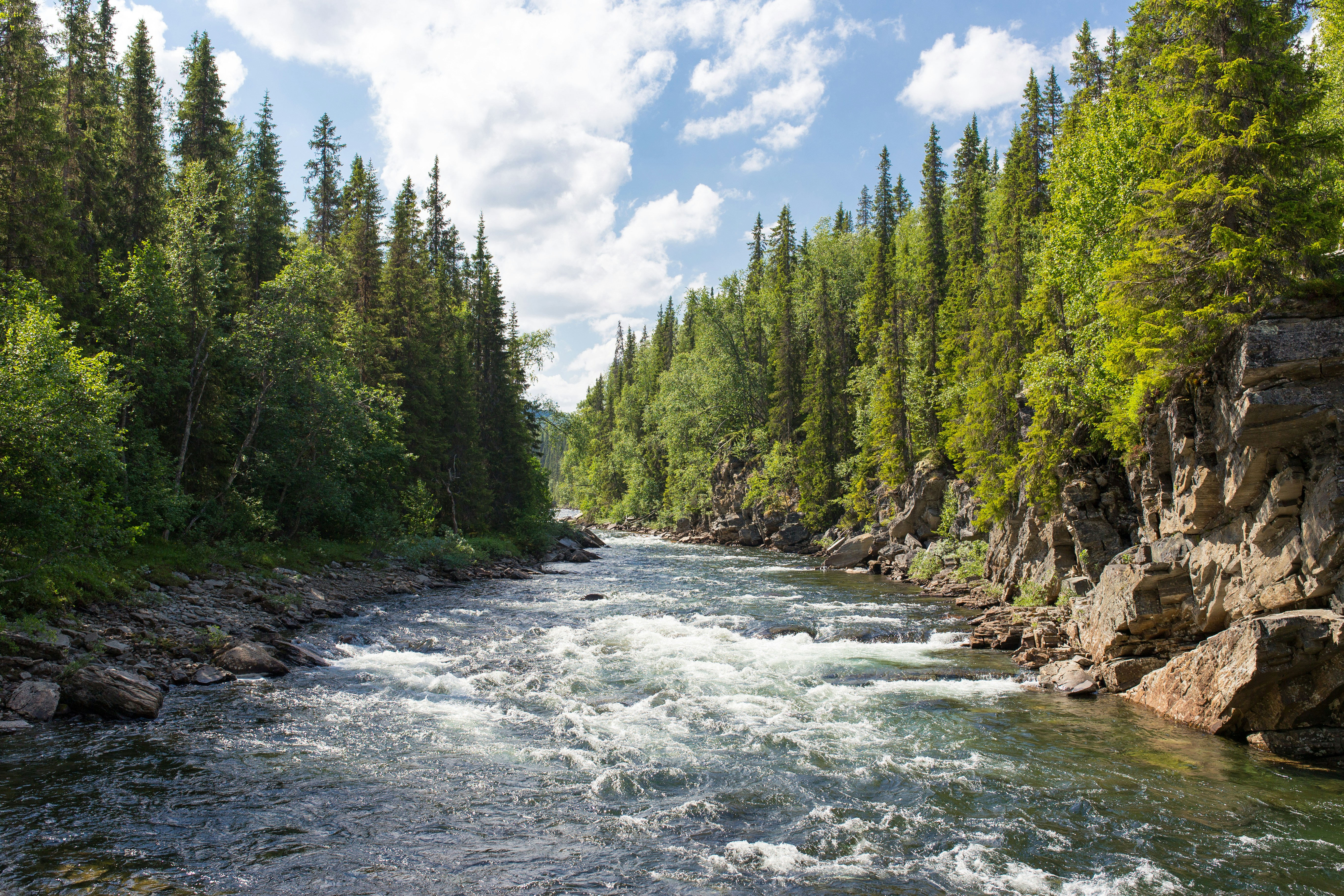 Does_water_need_more_standards_river_and_trees_jon-flobrant-rB7-LCa_diU-unsplash (1)