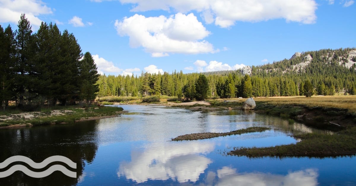 Global stewardship standards for the water industry