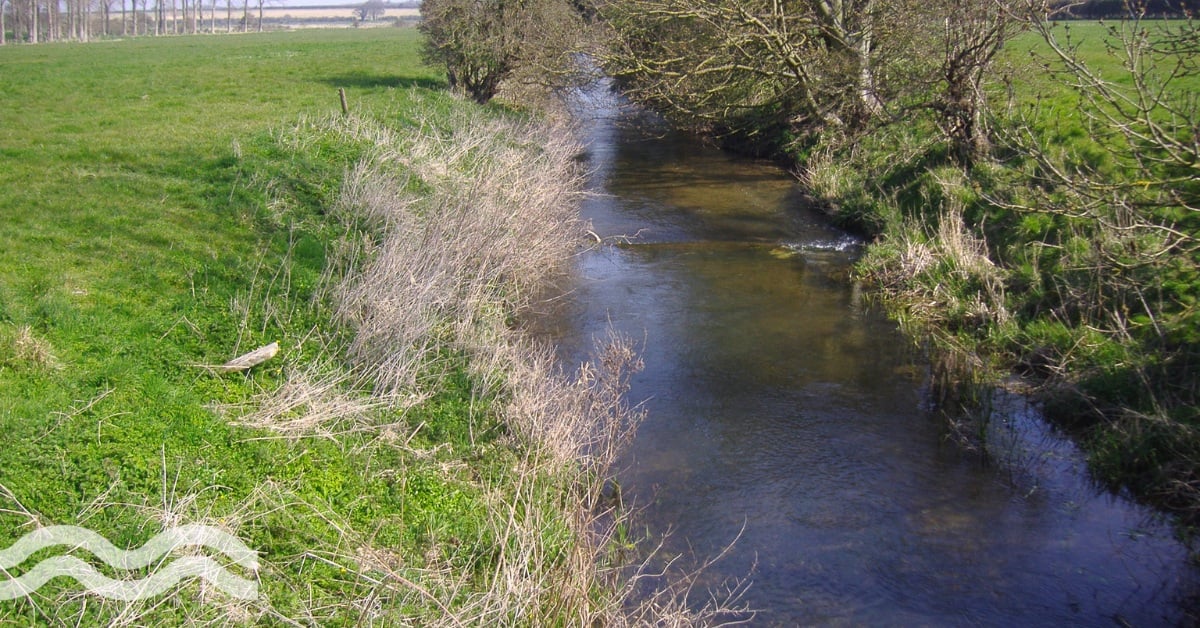Digital twin: World first maps chalk stream river system