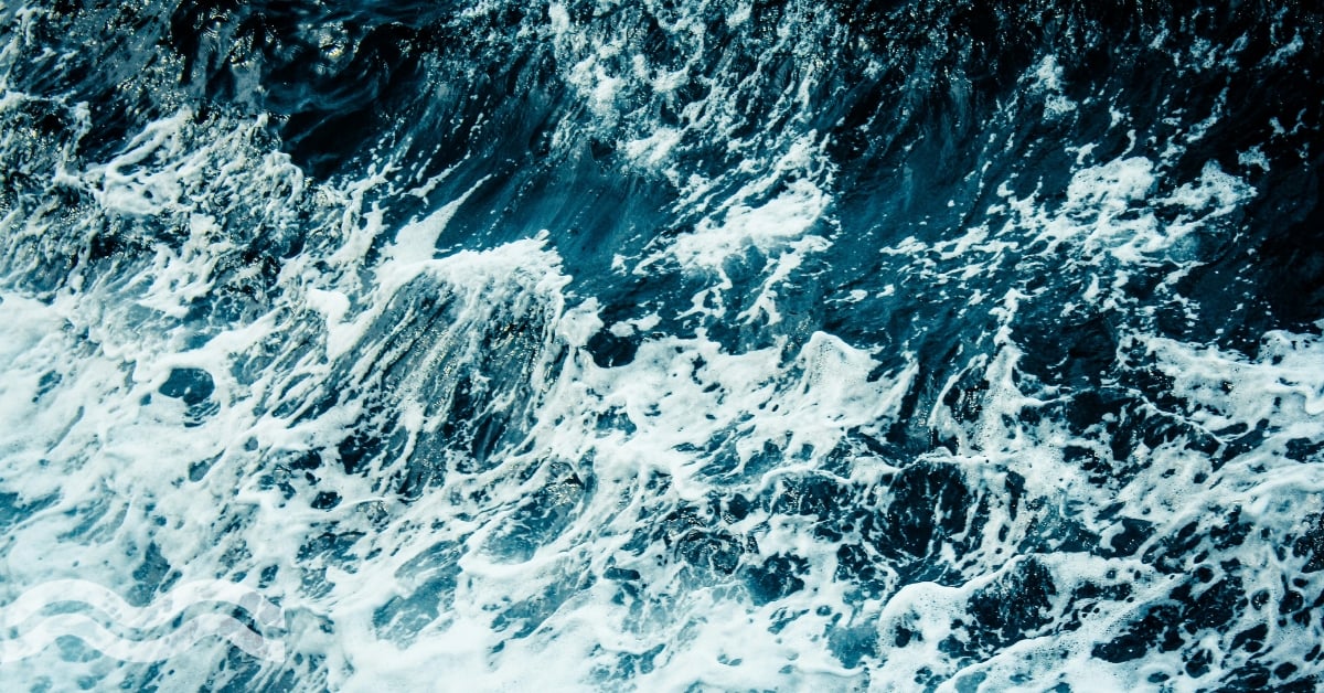Pods on the seafloor produce crystal clear water