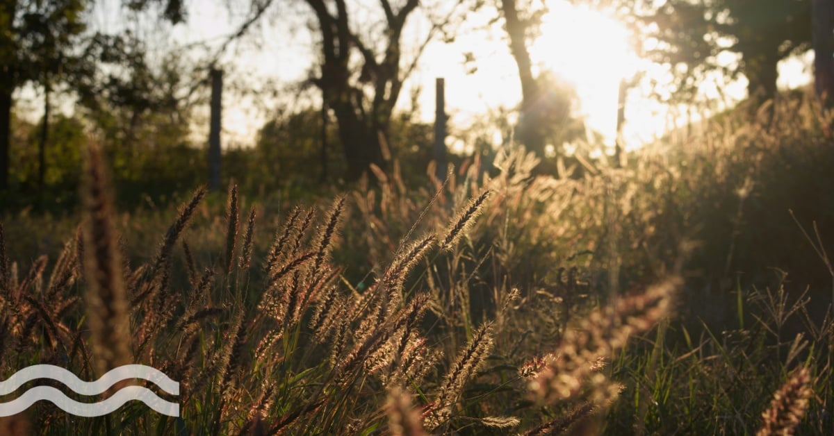 Coca-Cola invests in resilience and replenishment in Mexican sub-basin
