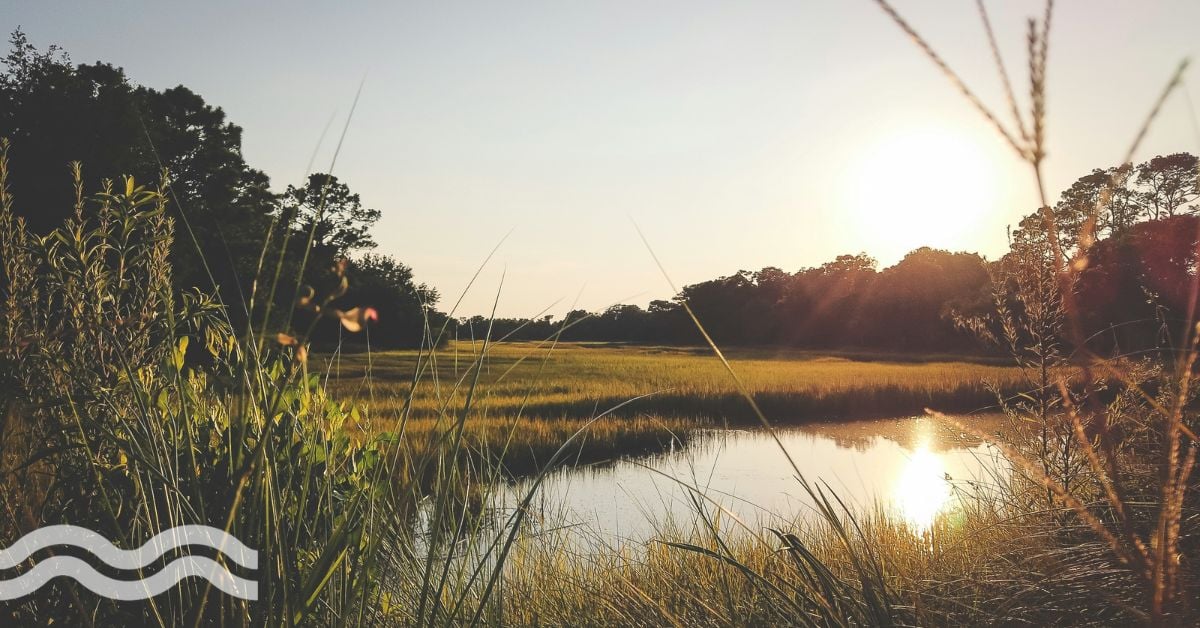 BASF Corp settles contaminated drinking water PFAS claims