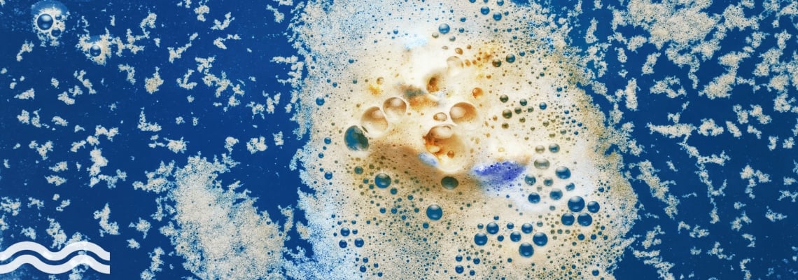Scum formed on top of a body of water
