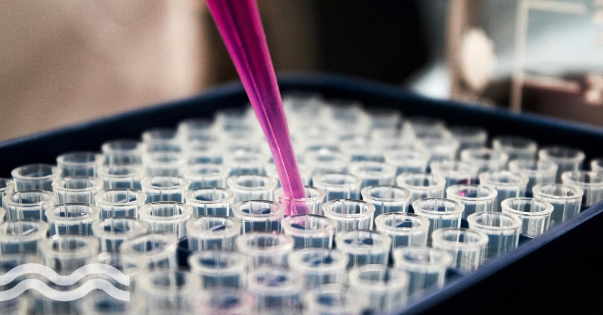 Antibiotic resistance detection in wastewater breakthrough