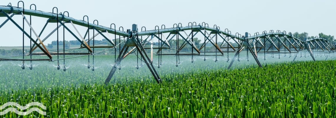A crop irrigator spraying corn with water in the US 